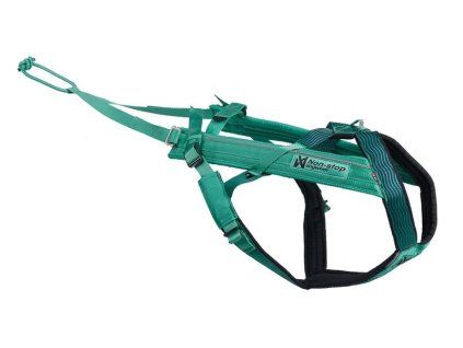 freemotion aqua