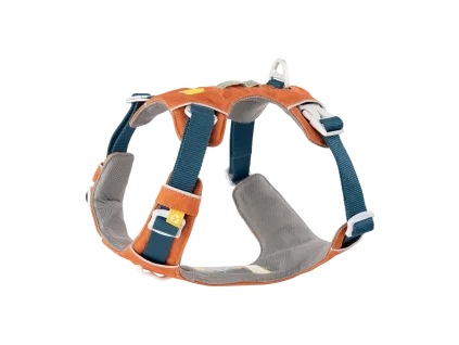 alpha valjas nelio.png