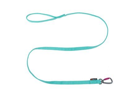 bungee leash aqua 1