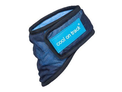 4322 Cooling Bandana WEB L 02 2048x2048.jpg