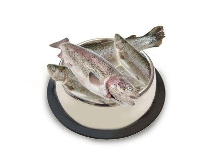 Sokol Falco Pstruh kuchaný 1 kg, mražené maso pro psy