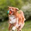 play micek go go astro ball flare3