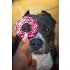 max a donut.jpg