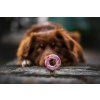 KOKO Charlie Donut Hovězí donut