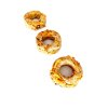 zverina donut scaled
