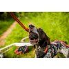 684050d0b4cab 2