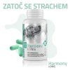 0d0c493e6f256aac890ec8cfced12cef harmony long 4000x4000 2025kreslici platno 1 min