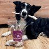 raw805 nc kralici usi chlupate 04 my pets stories