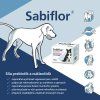 sabiflor2