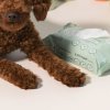 FurryFriends selection 05 9aecb7b7 2e02 460b 8025 1c6f2127c7cc 800x