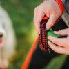 play zasobnik na sacky houndstooth2