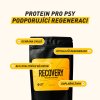 recovery 01