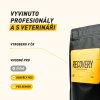 recovery 3