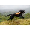 protector neoprene vest setting 1 2