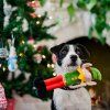 play skritek4