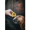 KOKO Charlie Donut Dýňový donut s hovězím masem