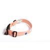 sustainable dog leash collar lebeddieLebeddie 0131