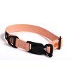sustainable dog leash collar lebeddieLebeddie 0134