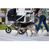 sustainable travel dog bed lebeddie 2168 scaled