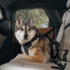 thule cappy postroj do auta pro psa vel s 4
