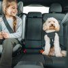 thule cappy postroj do auta pro psa vel s 5
