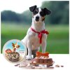 5260 2 animal cake dort pro psy3