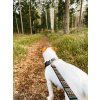 woodland leash 233510