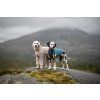 68ef60f8bf026