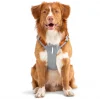 alpha 360 harness glacier green mix xs 402245.jpg