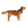 alpha 360 harness glacier green mix xs 437177 kopio.jpg
