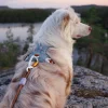 alpha 360 harness glacier green mix xs 778321.jpg