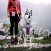 alpha 360 harness mauve mix xs 295824.jpg