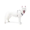 alpha 360 harness mauve mix xs 563001.jpg