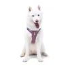 alpha 360 harness mauve mix xs 955669.jpg