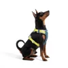 Alpha360Harness DeepTealMix HRNSAL163 LHRNSAL163 MHRNSAL163 SHRNSAL163 XLHRNSAL163 XS 39.jpg