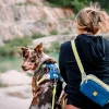alpha 360 harness deep teal mix deep teal mix xs 840984.jpg