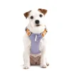 Alpha360Harness Lavendermix HRNSAL194 LHRNSAL194 MHRNSAL194 SHRNSAL194 XLHRNSAL194 XS 1.jpg