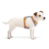 Alpha360Harness Lavendermix HRNSAL194 LHRNSAL194 MHRNSAL194 SHRNSAL194 XLHRNSAL194 XS 3.jpg