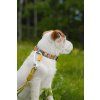rope leash thin pistachio 214984.jpg