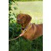 rope leash thin salmon pink 340342