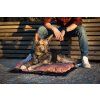 sustainable travel dog bed lebeddie 2305 2 scaled