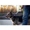 sustainable travel dog bed lebeddie 2351 scaled