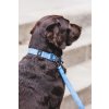 lifestyle dog leash collar recycled lebeddie4111