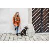 woman dog leash collar recycled lebeddie4541 1 2