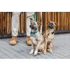 man dog leash collar recycled lebeddie4813