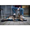 sustainable travel dog bed lebeddie 2418 scaled