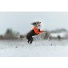 protector suit snow setting 1 1af9ae9a 30ec 4a49 8dec 90f2e7446d3e