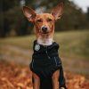 Orbiloc Reflective Clip Dog Coat Southpawsjourney