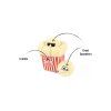 328 2 p l a y popcorn