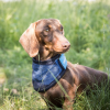 4322 Cooling Bandana WEB LIFESTYLE 05 2048x2048.jpg
